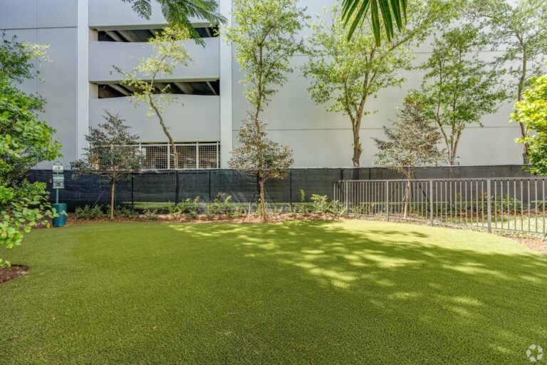 grand-view-park-miami-fl-dog-park